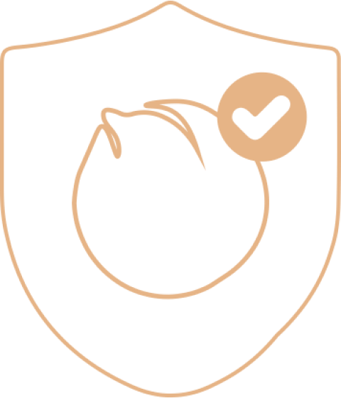 Icono de seguridad